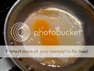 Eggs-2011-03-25-002.jpg