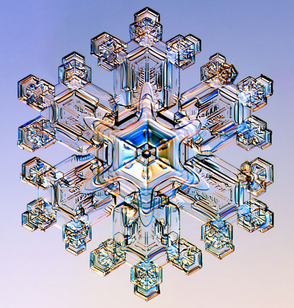 snowflake14.jpg