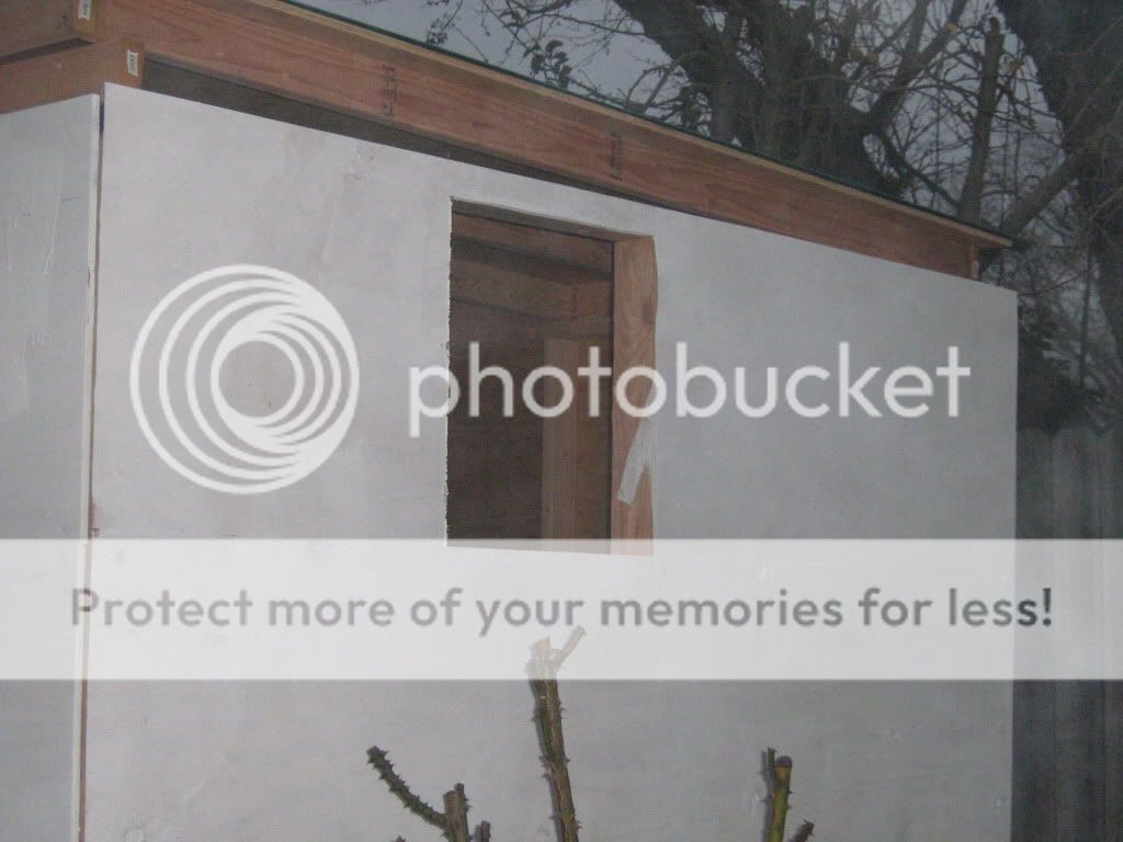 CoopBuilding078.jpg