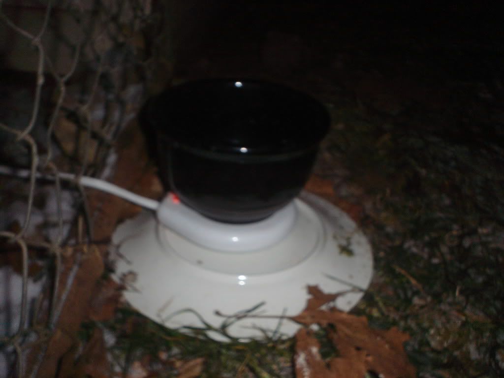 DSC01031.jpg