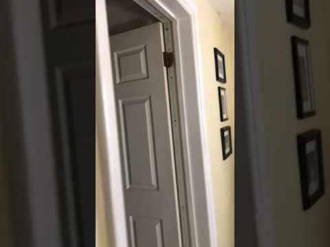 0.jpg