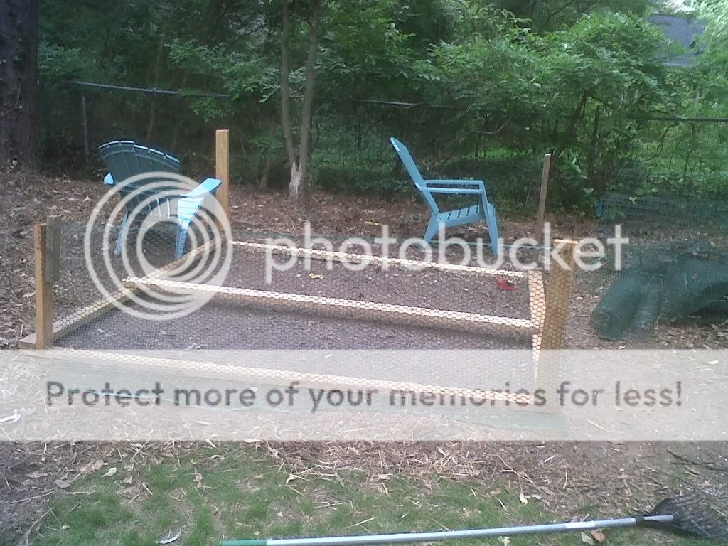 IMG00309-20110508-1514.jpg
