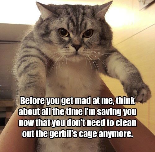 cc0ac7d1f30bffab8660c9f0b02d319f.jpg