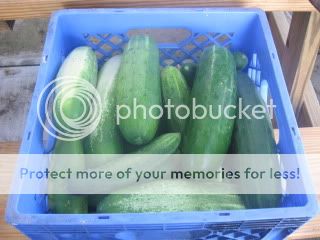 IMG_2120-Copy.jpg