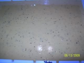 100_2711.jpg
