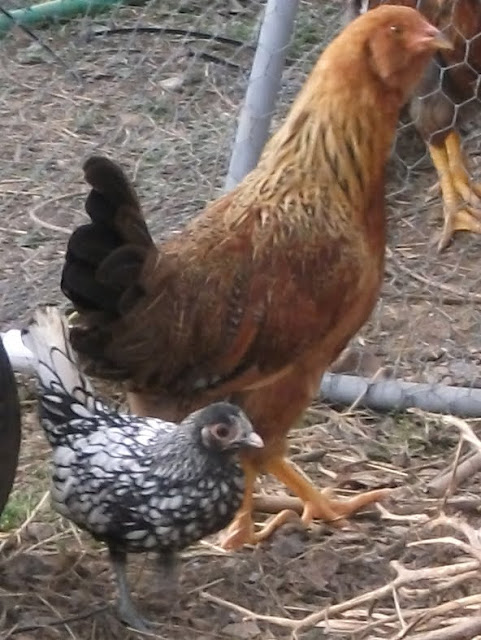 DSCF1504.JPG