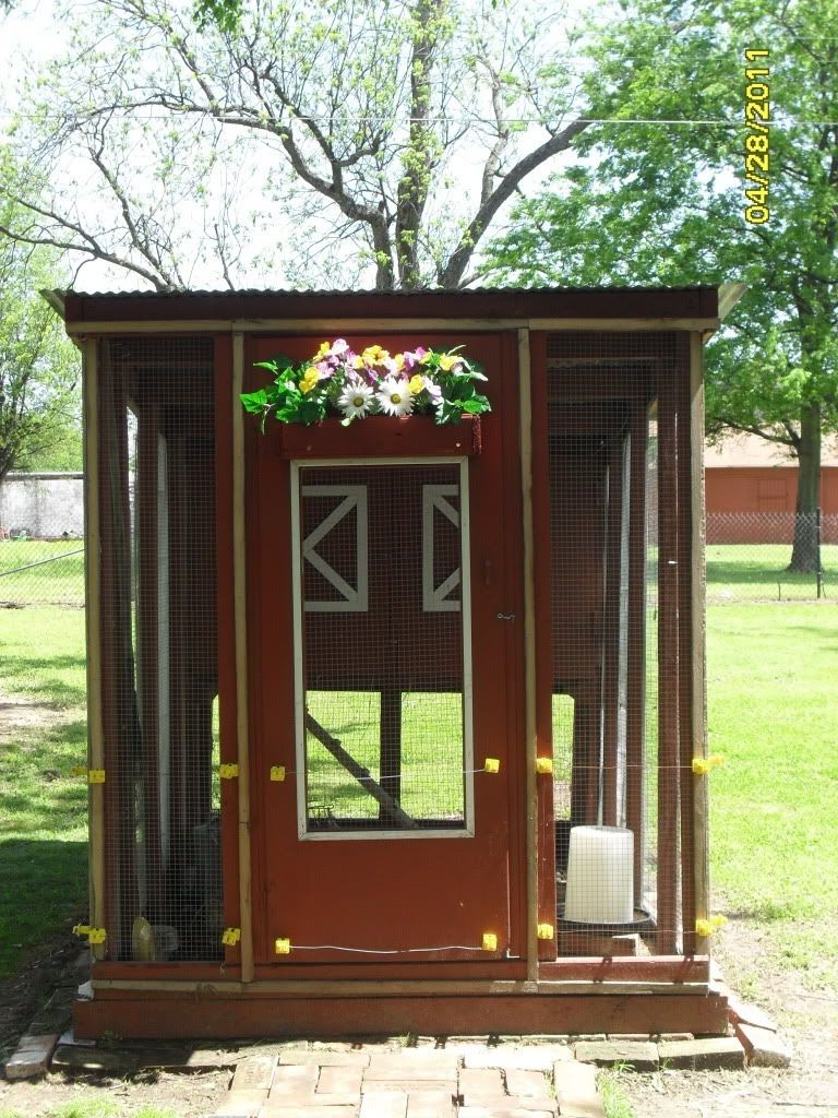 SDC12156.jpg