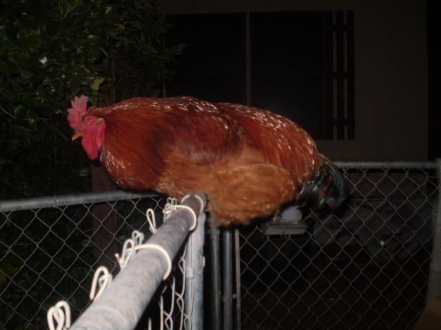 PC300167.jpg