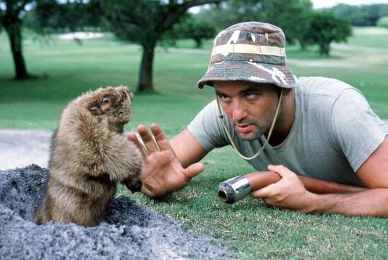caddy.jpg