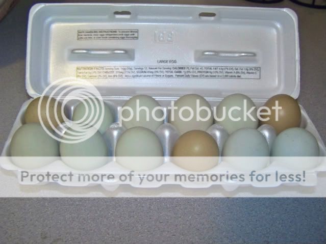 eeeggs2-1.jpg