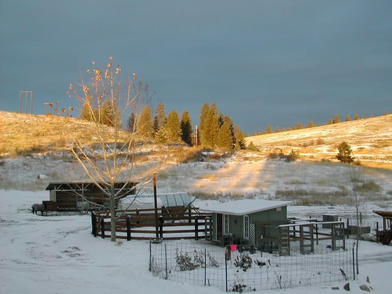 DSCN4984.jpg