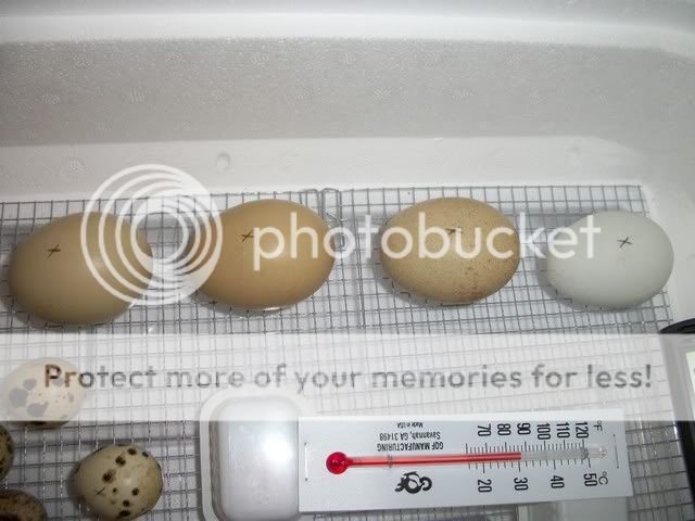 100_5651.jpg