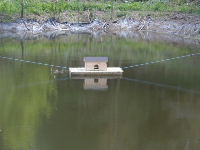 DSCN0553.jpg