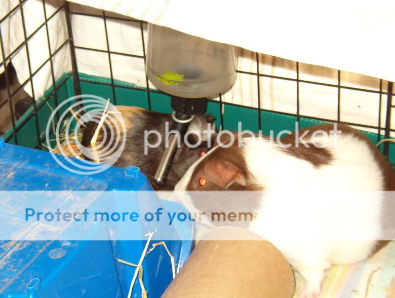 IM001942.jpg