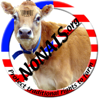 NoNais%20Cow.png