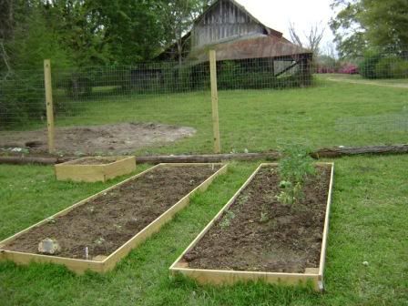 gardenbeds1.jpg