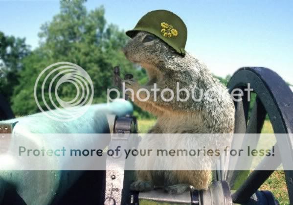 squirrel01.jpg