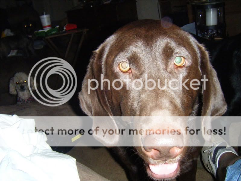 DSCF0084-1.jpg