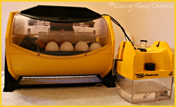 egg-incubator-and-humidity-pump.jpg
