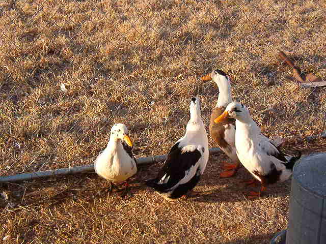 Mar2010+006.jpg