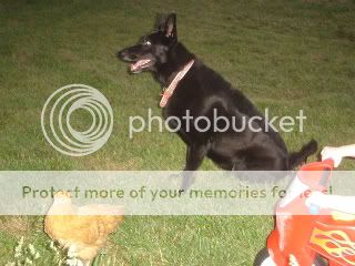DSC08609.jpg