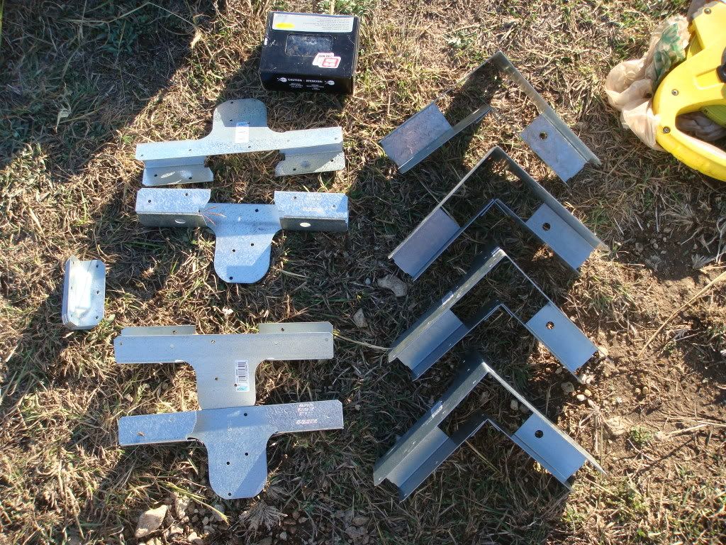 birdbuilding001.jpg