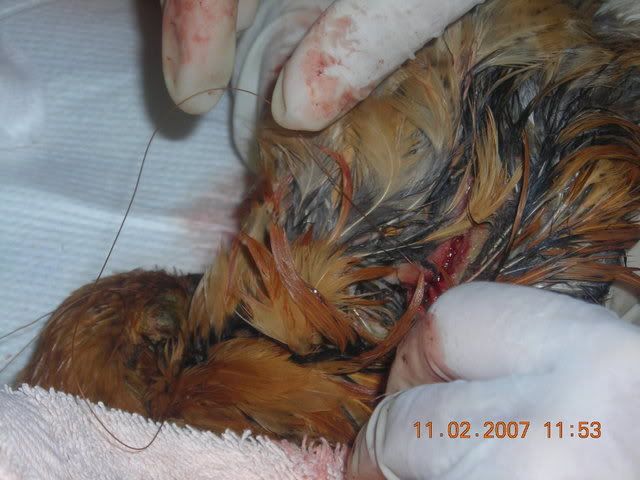 DSCN1292.jpg