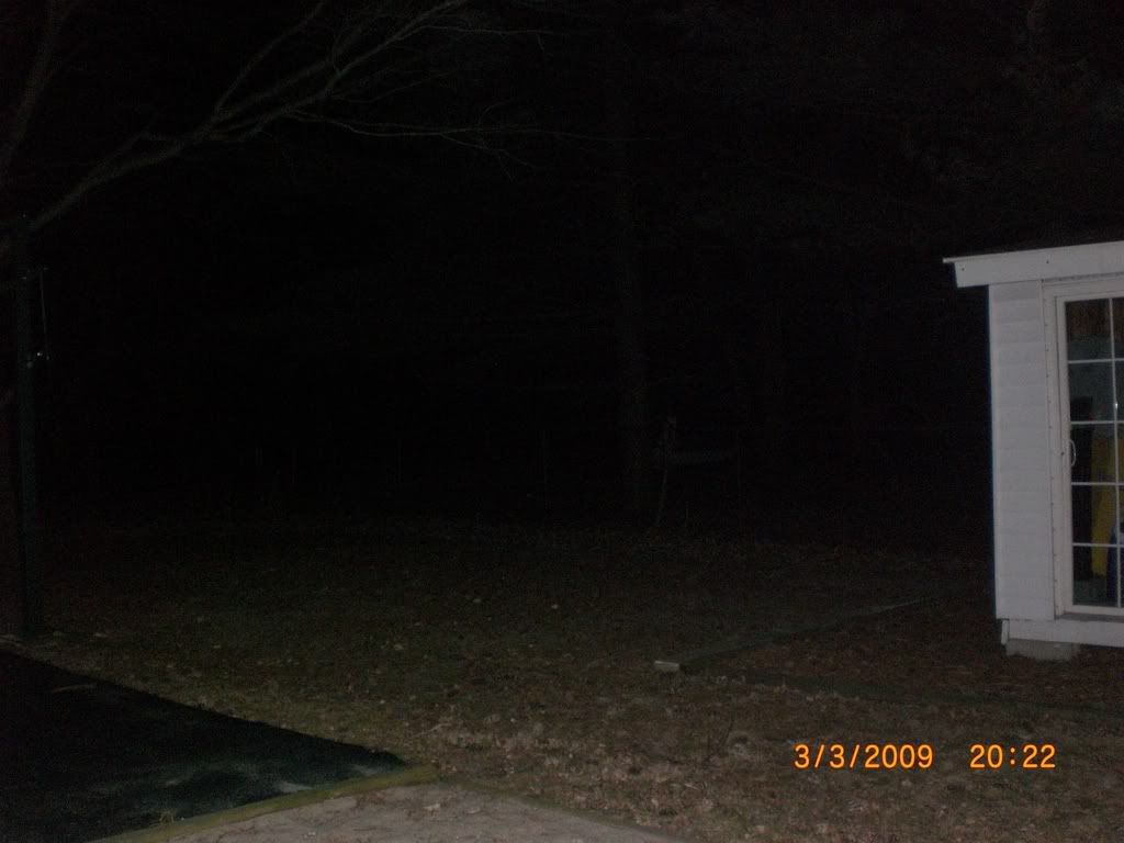 coop002.jpg