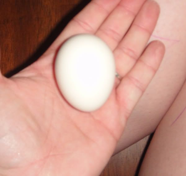egg10.jpg