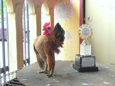 DSCN8990.JPG