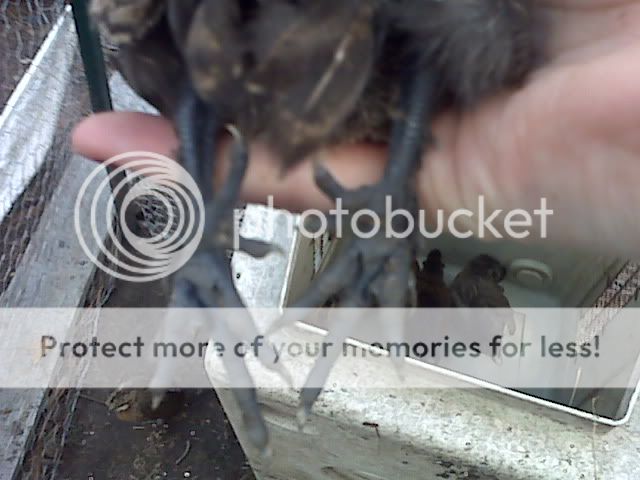 IMG01614.jpg
