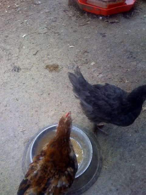 photo-185.jpg