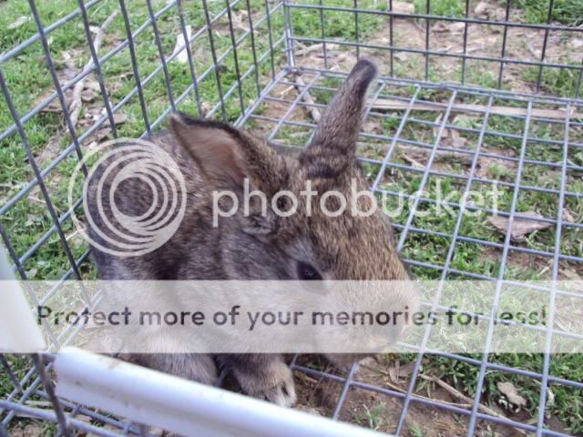 DSC00784.jpg