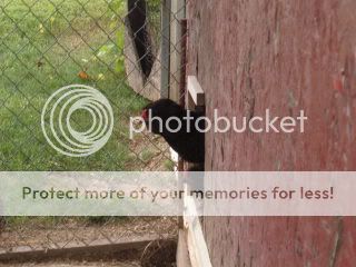 Copy2offromthefarm7-24-08008.jpg