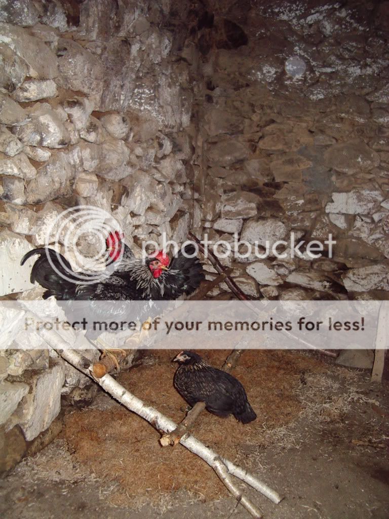 IMGP2254.jpg