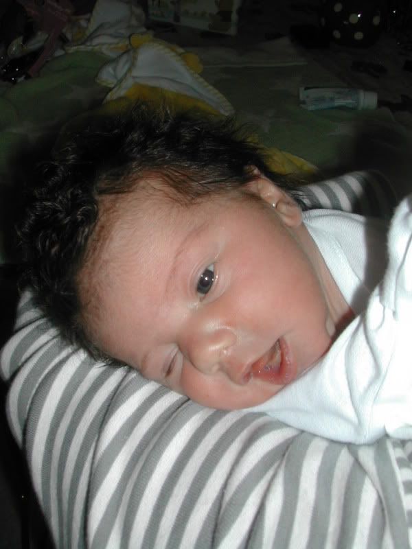 DSCN5525.jpg