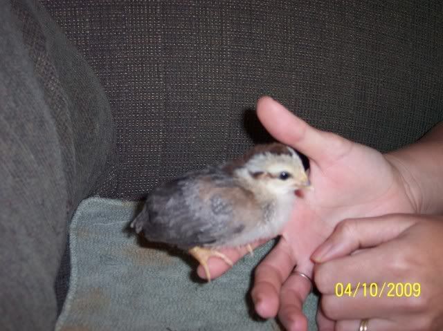 100_1689.jpg