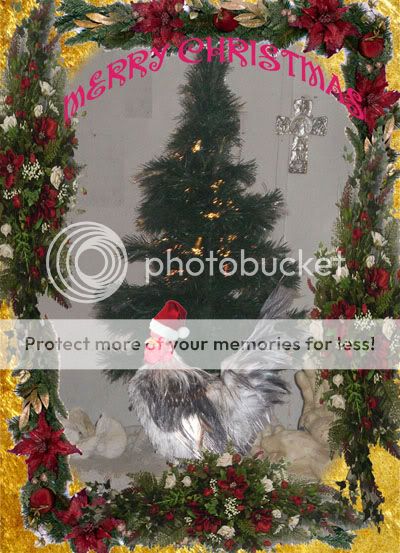 treecard800.jpg