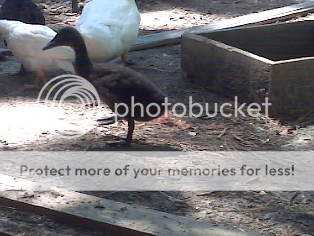 IMG01576.jpg
