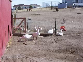 100_3402.jpg