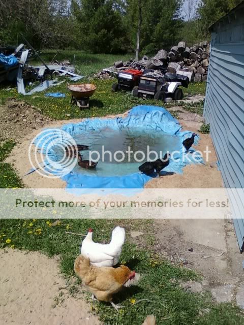 img1243388507486.jpg