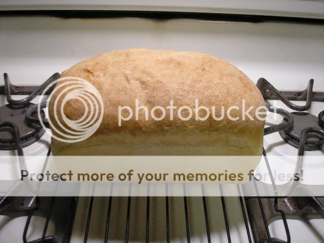 Loaf11-11-09resize.jpg