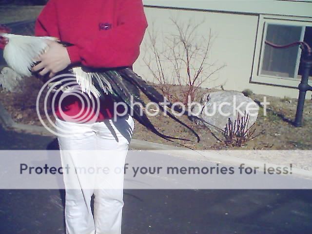 KEY70003_9.jpg