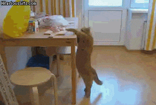 2FU33KI.gif