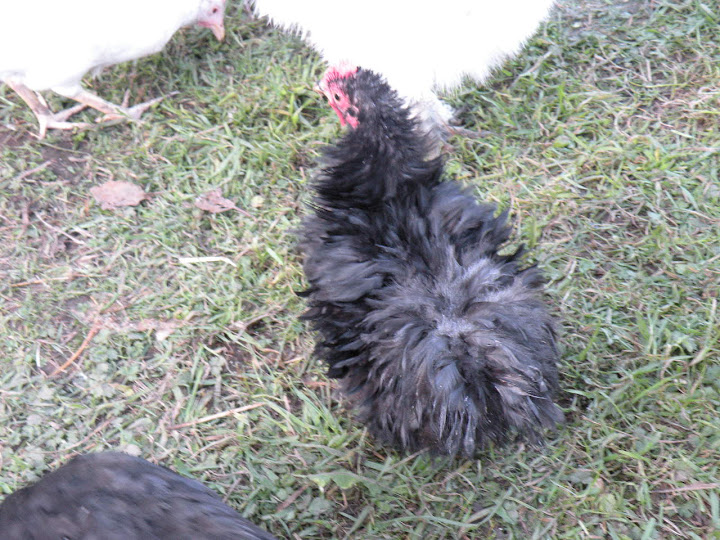 DSCN1047.jpg