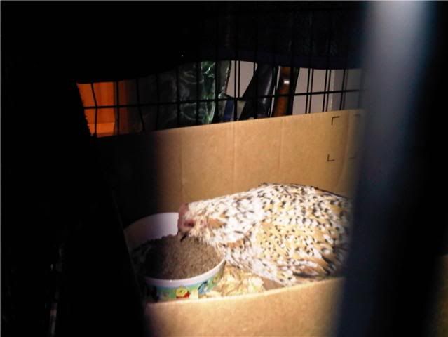 popcorn3.jpg