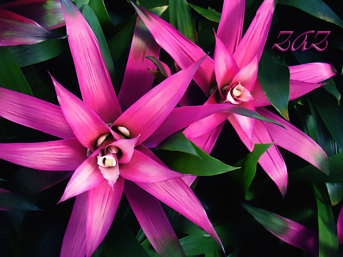 DSC00050.png