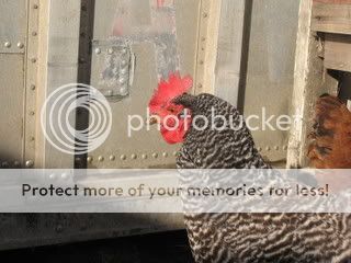 100_1298.jpg