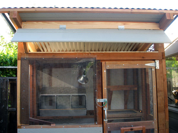 chixcoop9b-05.jpg