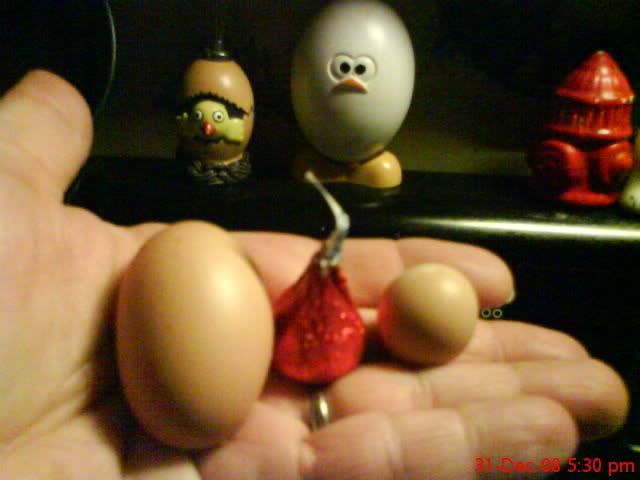 SMALLEGGS2.jpg
